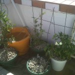 Arduino Watering System: Update
